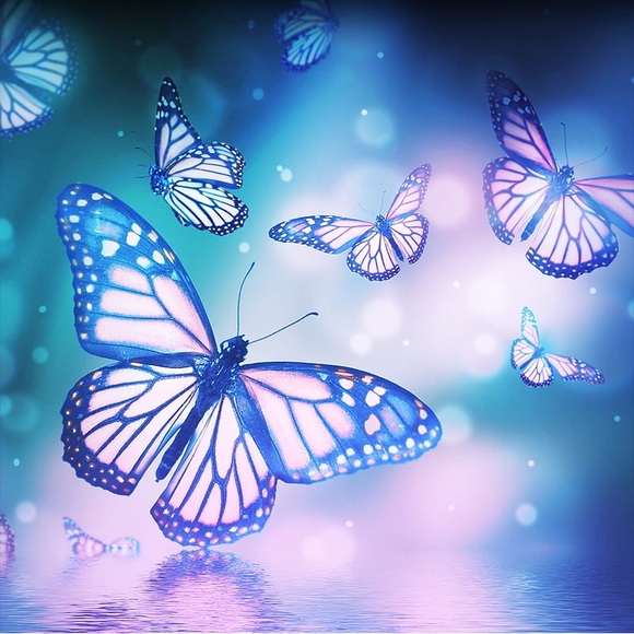 Meet your Posher, Danielle - Picture 2 of 2